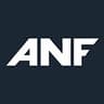 ANF Group, Inc. logo