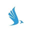 Birdy logo