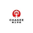 CHAGEE USA logo