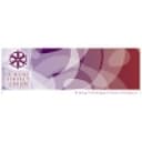 A More Perfect Union logo