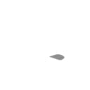 Active Capital Ltd. logo