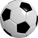 AGS Youth Soccer Club logo