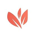 AllSpice logo