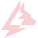 AMAROK Security logo