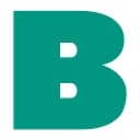 Badger Infrastructure Solutions Ltd logo