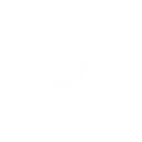 Bellwether Concepts logo