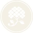 Belmont Park Village logo