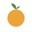 Besimple AI logo