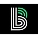 Big Brothers Big Sisters of Central Minnesota logo