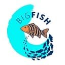 Big Fish Initiative logo