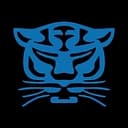 Birmingham Panthers logo