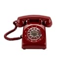 Bloom Theory Marketing logo