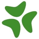 Bloomerang logo