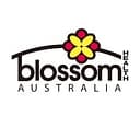 Blossom Health logo