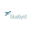 BlueByrd Strategic Sales & Marketing logo
