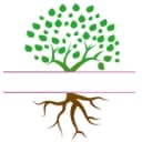Body Wellness Institute logo