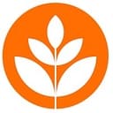 Brand New School logo