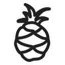 BRG Concepts logo