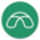 Brigit logo