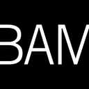 BROOKLYN ACADEMY OF MUSIC INC logo