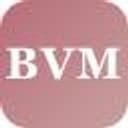 BVM Agency inc logo