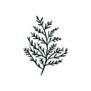 Cedar Lakes Estate logo