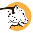 Cheetah Clean Auto Wash logo