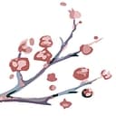 Cherry Tree Beads logo