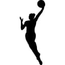 Chicago Sky WNBA logo