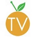 City of Dunedin logo