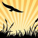 City of Eden Prairie logo