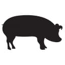 Cloverdale Foods logo