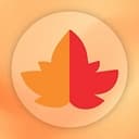 Crazy Maple Studio logo