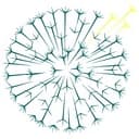 Dandelion Health Inc logo