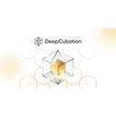 DeepCubation logo