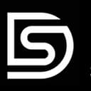 DS Recruitment logo