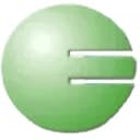 ECORP Consulting, Inc. logo