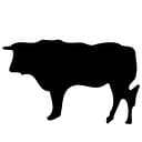 El Toro Interactive, LLC logo