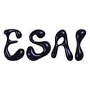 ESAI 🔮 logo