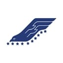 Falcon Foundation logo