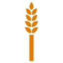 Feeding San Diego logo