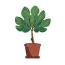 Fiddle Leaf Marketing logo