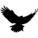 Four Hawk Media logo