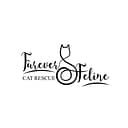 Furever Feline Cat Rescue logo