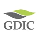 GDI Consulting logo