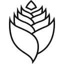 Genuine Ginger logo