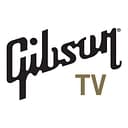 GIBSON Inc logo
