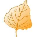 Goldleaf Development, LLC logo