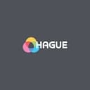 Hague Group logo