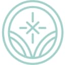 Illuminus logo